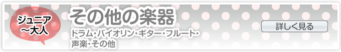 楽器・その他(ドラム・バイオリン・ギター・ベース・ホルン・フルート・チェロ・リラックスヨガ・その他)